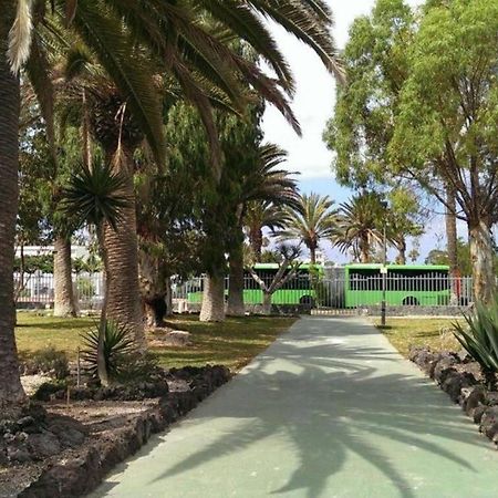 ארונה Papagayo Beach Apartments מראה חיצוני תמונה