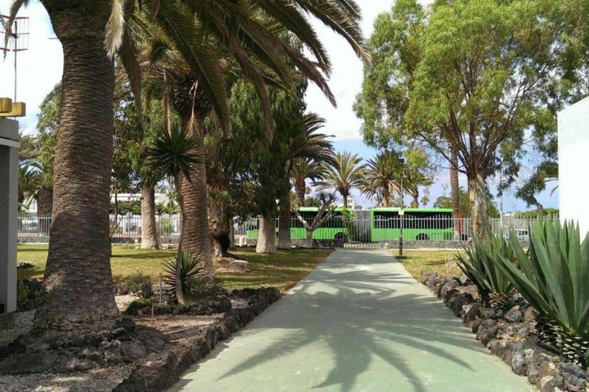 ארונה Papagayo Beach Apartments מראה חיצוני תמונה